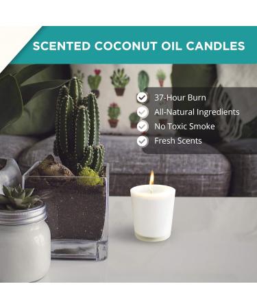 Coconut Oil Scented Candle | Organic Wax | All-Natural Long-Lasting Jasmine Scent | 37-Hour Clean Burn by Saavy Naturals - Buy Online on GoSupps.com