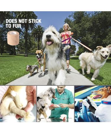 Self Adhesive Bandage Wrap 4 Pack - 2 inch Vet Wrap for Dogs & Sports Injuries - Buy Online on GoSupps.com