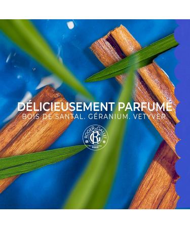 Roger & Gallet Bois de Santal Savon Bienfaisant Base V g tale 100g Multicolore 1 unit (Lot de 1) - Buy Online on GoSupps.com