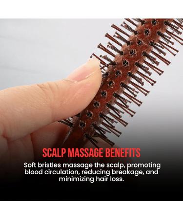 Buy The Shave Factory Static-Free Round Wooden Styling Brushes | Professional Salon & Home Use | Brown Model 39 - Long-Lasting Shine - Buy Online on GoSupps.com