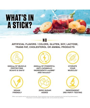 Ambrosia Hydroglyph Intraworkout Electrolytes Hydration Drink Mix | Sugar Free Electrolyte Powder with Amino Acids | Supports Lean Muscle During Fasting | 30 Servings | Variety Pack Variety On-the-Go Packs - Buy Online on GoSupps.com