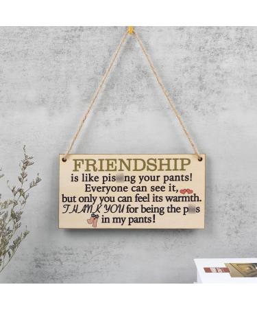 Friend Gifts For Women Under $15 | Funny Friendship Plaque for Her | Special BFF Gift | Prime Eligible - Buy Online on GoSupps.com