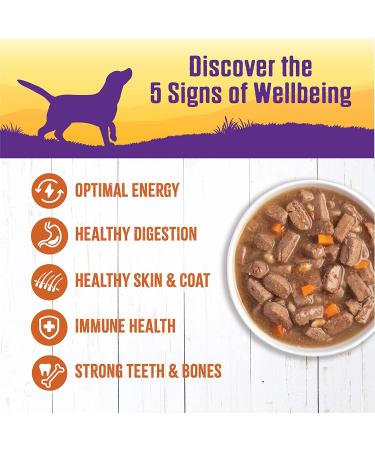 Wellness Turkey Stew Canned Dog Food, 12.5 oz (Pack of 12) - Natural & Thick Formula - Buy Online on GoSupps.com