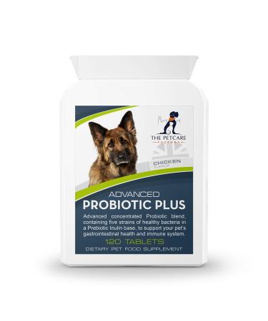 Advanced Probiotic Plus 5 Powerful Strains of Bacteria in a Prebiotic Inulin Base 2 Billion CFUs Per Tablet Plus Digestive Enzymes 120 Tablets UK Manufactured to GMP Standards