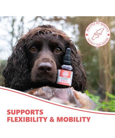 Purest Hip & Joint Supplement for Dogs - Natural Liquid Care with Turmeric for Mobility & Flexibility - Buy Online on GoSupps.com