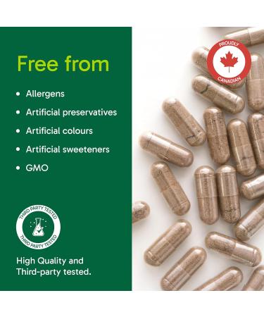 Organika Mushroom Extract- REISHI 250MG 90 VCAPS 90 count (Pack of 1) - Buy Online on GoSupps.com