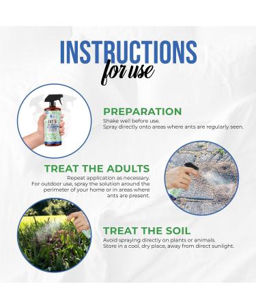 READY STEADY DEFEND Ant Repellent Spray Natural Ant Killer Long-Lasting Formula ersatile for Indoor & Outdoor Use Effective Ant Control Solution - 6.76 Oz - Buy Online on GoSupps.com