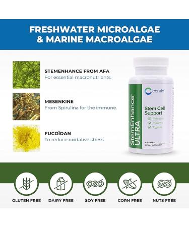 Cerule StemEnhance Ultra Stem Cell Support Supplement with Extracts from Freshwater Microalgae and Marine Macroalgae to Help Increase Circulating Adult Stem Cells and Promote Healing - Buy Online on GoSupps.com