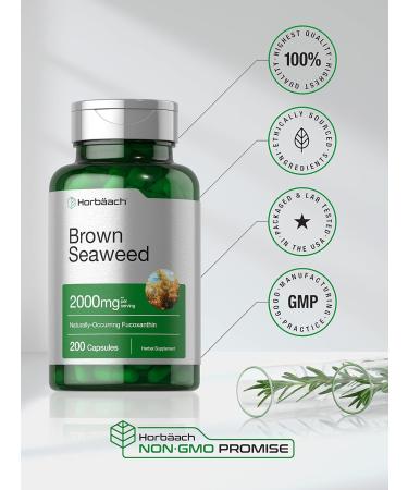 Horb ach Brown Seaweed Extract Capsules 2000mg | 200 Pills | Fucoxanthin Supplement | Non-GMO Gluten Free - Buy Online on GoSupps.com