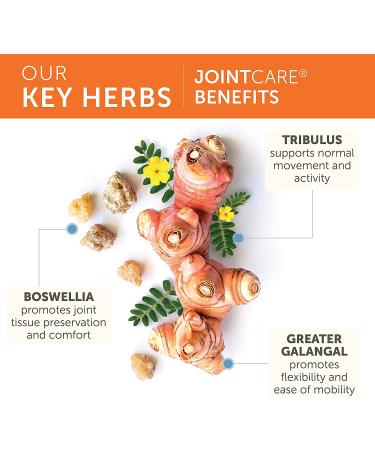 Himalaya JointCare - 120 Vegetarian Capsules for Joint Health & Mobility - Buy Online on GoSupps.com