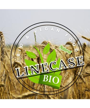 Low Carb Bites 100g | Vegan Protein Bar | Low Sugar Coconut Snack - Buy Online on GoSupps.com