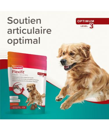BEAPHAR Flexifit Joint Chews for Dogs Contains vitamins glucosamine essential fatty acids and collagen Provides joint support Highly palatable Level 3 175g - Buy Online on GoSupps.com