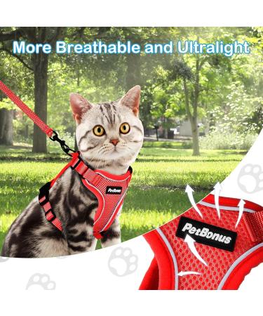 Petbonus Adjustable Cat Dishes & Leash Set - Soft Breathable Small Cat Bowls with Reflex Strips - Ideal for International Shipping - Buy Online on GoSupps.com