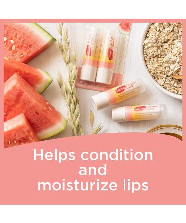 Carmex Comfort Care Watermelon Blast Stick - Pack of 2 - Buy Online on GoSupps.com