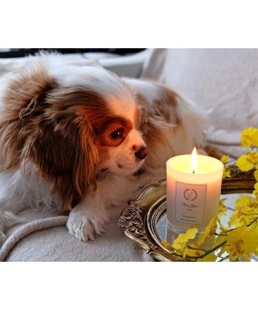 Natural Soy Wax Candle | English Pear Freesia & Amber | Luxurious Vegan Aromatherapy | Handcrafted Eco-Friendly Fragrance | Clean Burning Essential Oil Candle - Buy Online on GoSupps.com