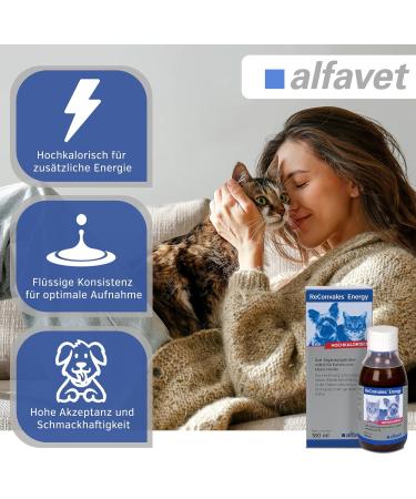 Alfavet Reconvales Energy for Cats - High-Caloric Formula for Convalescence & Hepatic Lipidosis - 180ml Glass Bottle - International Shipping Available - Buy Online on GoSupps.com