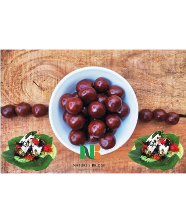 Nature's Bridge Mix Shots (Instant Mix Mouth Freshener Mukhwas) Jar Pack / Mix Flavor Candy / Mix Shots / Mix Laddu - 400 Gm Jar_Packing May Vary - Buy Online on GoSupps.com