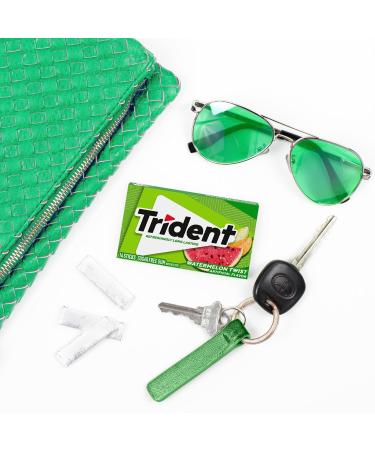Trident Past que Twist Chewing Gum 14 B tonnets Lot de 3 - Buy Online on GoSupps.com
