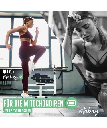 VITABAY Coenzyme Q10 Capsules 200mg - High Dose Vegan Antioxidant - 120 Count for Enhanced Energy & Heart Health - International Shipping Available - Buy Online on GoSupps.com