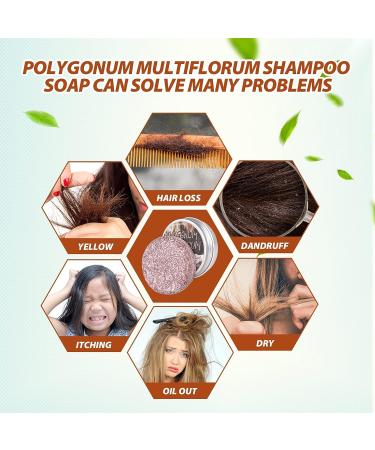 Organic Hair Darkening Shampoo Bar Set for Gray Hair | DICTAMNI Hira Shouwu | Unisex Natural Blackening Formula - Buy Online on GoSupps.com