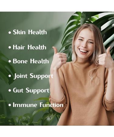 VERDEVITALIS Chicken Collagen Capsules - Type II Collagen Nutritional Supplement for Joint, Skin & Bone Support-Non-GMO, Anti-Aging Supplements with Hydrolyzed Collagen Peptides - 100 Capsules - Buy Online on GoSupps.com