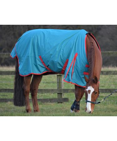 Turners Lightweight 100g Fill Waterproof Turnout Rug for Horse and Shetland Pony 5'0" - Buy Online on GoSupps.com