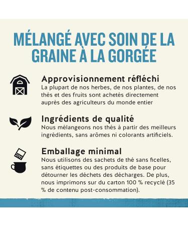 Celestial Seasonings Sleepytime Extra 6-Count 20 Count (Pack of 6) - Buy Online on GoSupps.com