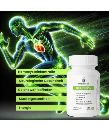Magnesium Citrate and Vitamins B6 B9 Folate B12 and D3 Fatigue Muscle Function Joints and Homocysteine - 120 Capsules - MAG-FUSION - Buy Online on GoSupps.com