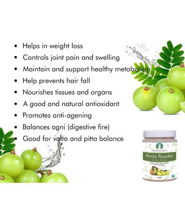 AYURVEDASHREE Amla Fruit Powder 100g - Raw Non GMO Antioxidant Vitamin C Vegan - 100% Raw from India - Buy Online on GoSupps.com