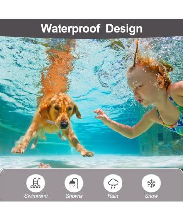 Calming Dog Collar for Anxiety Relief - Pheromone Collar for Dogs in New Environments - Adjustable for Small, Medium, Large Dogs - Grey - 1pc - Buy Online on GoSupps.com