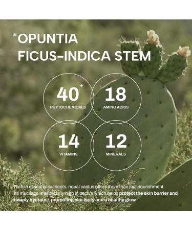 Whamisa Fresh Cactus Magic Serum 99.9% Natural 35.66% Organic Opuntia Ficus-Indica Cactus Extract Instant Wrinkle Remover Anti aging serum for Face & Eye Moisturizing Repairing 33ml - Buy Online on GoSupps.com