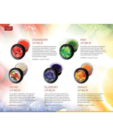 Lip Balm - Active UV Block - Mint Flavor - All Natural - Vaadi Herbals - Buy Online on GoSupps.com