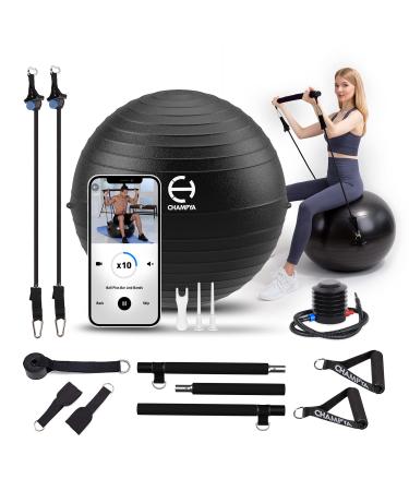 for Working Out 65 cm - Yoga Ball Chair & Balance Ball for Pregnancy, Birthing Physical Therapy & Chair for Office - Stability Ball & Stainless Steel Pilates Bar for Workout Black