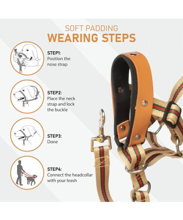 Alpha Boy Dog Training Collar | Comfortable Real Leather Harness for All Breeds | Easy-to-Use with Quick Lock Buckle (XXL) - Buy Online on GoSupps.com