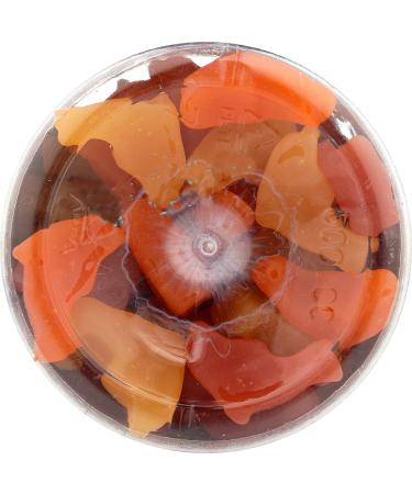 Country Life Dolphin Pals DHA 90 Sour Gummy Dolphins - Healthy Omega-3 Supplement for Kids - Buy Online on GoSupps.com