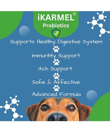 iKARMEL Doggy Dailies Probiotics for Dogs | Canine Supplements for Digestive and Immunity Support | Skin Health and Itch Relief | Vitamin Treats for Dogs | Probiotic (90 Chews) - Buy Online on GoSupps.com