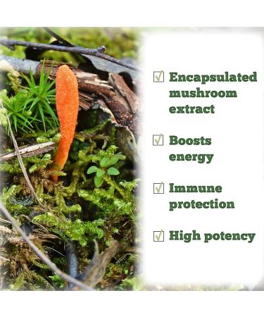 St. Francis Herb Farm Cordyceps Capsules - Buy Online on GoSupps.com