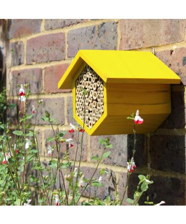 Bee Hotel with Wildflower Seeds - Boost Solitary Mason Bee Population with Yellow Bee House - Buy Online on GoSupps.com
