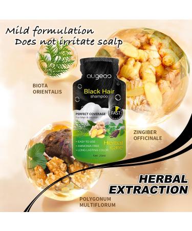 Natural Plant Hair Dye for Grey Hair | Black Bubble Shampoo for Men | Demi-Permanent 6.76 Fl Oz Box of 10 - Buy Online on GoSupps.com