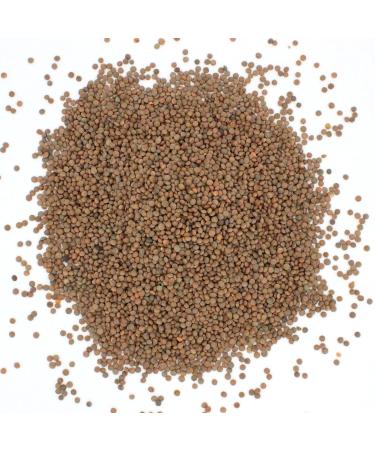 Thames Organic 500g Brown Lentils - High Fiber, High Protein, No Additives, Raw Vegan - Ideal for Soups, Salads, Curries - Nutritious & Flavorful - GMO-Free - Buy Online on GoSupps.com