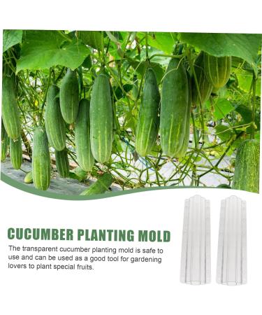 CIYODO 2pcs Vegetable Shaping Mold Cucumbers Cucumber Growing Mould Vegetable Growing Mold Accessories - Buy Online on GoSupps.com