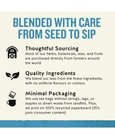 Celestial Seasonings Sleepytime Extra 6-Count 20 Count (Pack of 6) - Buy Online on GoSupps.com