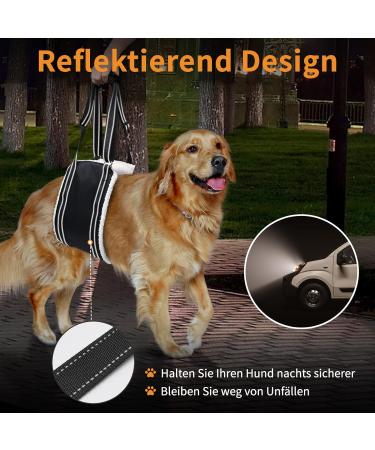 Premium Dog Harness for Hedge Aid | Comfortable & Durable Dog Gear for International Shipping - Buy Online on GoSupps.com