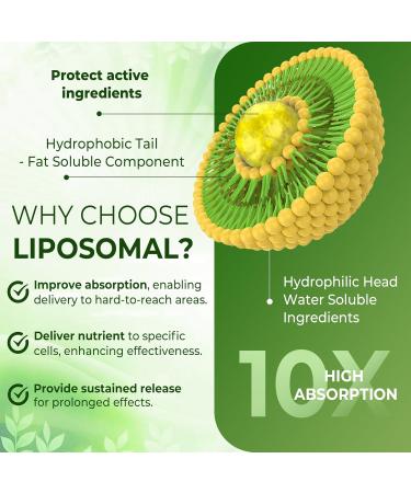 Liposomal L-Theanine 200mg Magnesium Glycinate 400mg Gummies with GABA 5HTP Apigenin Vitamin B6 & D3 Ashwagandha Lemon Balm Leaf Melatonin Free Sleep Chewable for Relax Mood & Muscle 2 Packs Pack of 2 - Buy Online on GoSupps.com