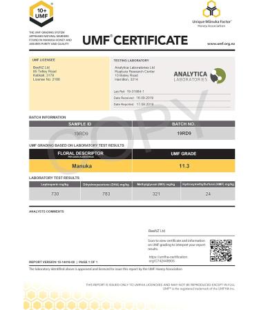 BeeNZ Premium manukahoney from New Zealand 263 pure manukahoney without additives methylglyoxalcontent MGO 263+ UMF10+ 250 g - Buy Online on GoSupps.com