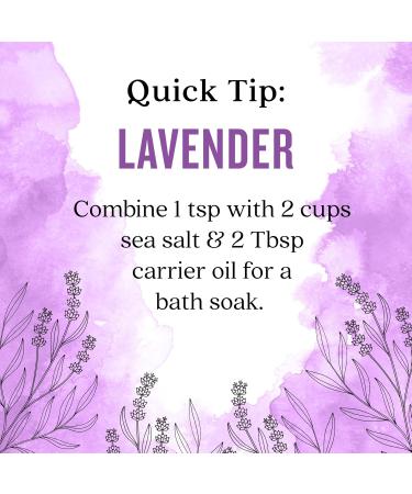 Aura Cacia Lavender Essential Oil 16 fl. oz. Eucalyptus 1 Fl Oz (Pack of 1) - Buy Online on GoSupps.com