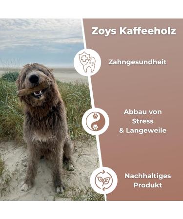 Zoys Coffee Wood Natural Chewing Bones for Dogs - XL (3 Pieces) | Dental Health & Sustainable Employment Chew Toys - Buy Online on GoSupps.com