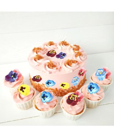Blumomon 60Pcs Edible Pansy Flowers Cupcake Toppers Tricolor Viola Cake Topper Edible Flowers Cupcake Decoration Picks Wedding Baby Shower Party Wedding Anniversary Birthday Party Cupcake Decoration Flower-style1 - Buy Online on GoSupps.com