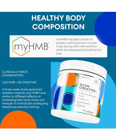 GoldenRoot GLDN Creatine - Creatine Monohydrate with HMB for sustained Muscle Support and Recovery with Vitamin D3 and K2 for Bone and Joint Health - Unflavored - 30 Servings (1) - Buy Online on GoSupps.com