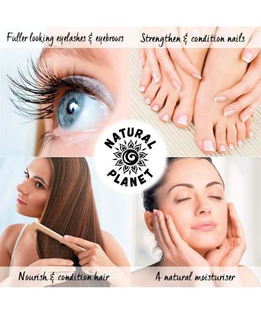 Natural Planet Castor Oil 100ml - Cold Pressed, 100% Pure & Hexane-Free for Eyelashes, Eyebrows, and Hair Growth | Pack of 1 - Buy Online on GoSupps.com